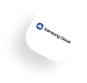 partners
